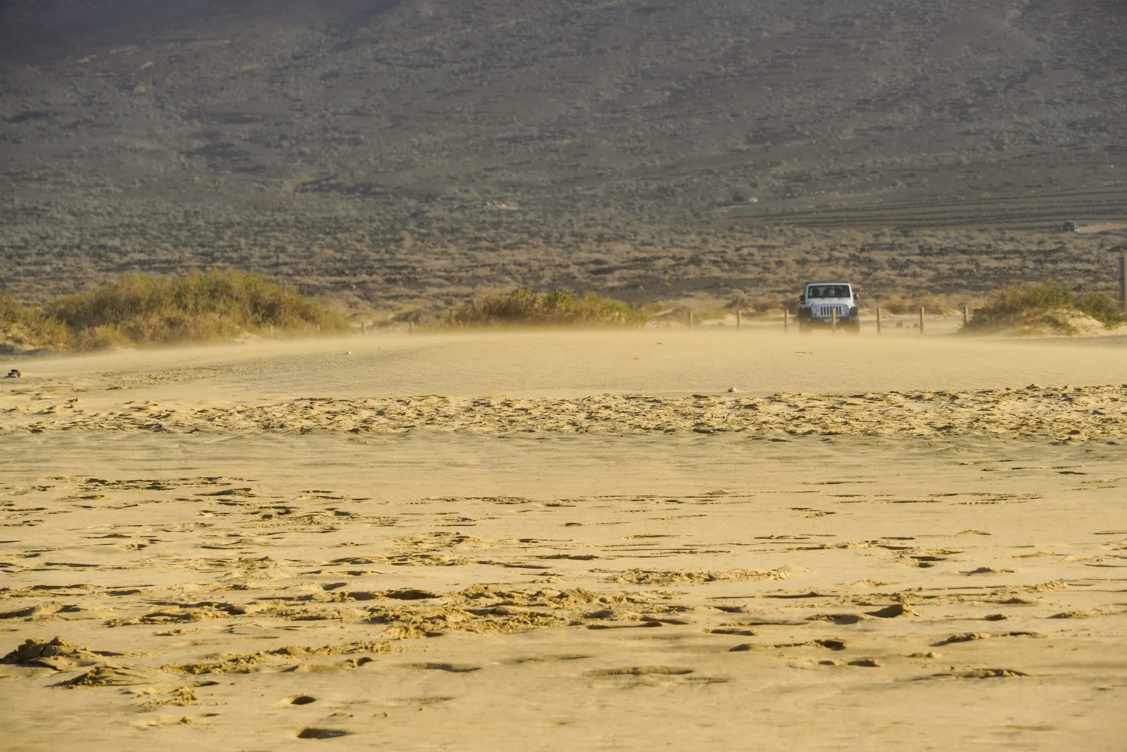 Wind-marked sand dunes with a single distant vehicle on the horizon.