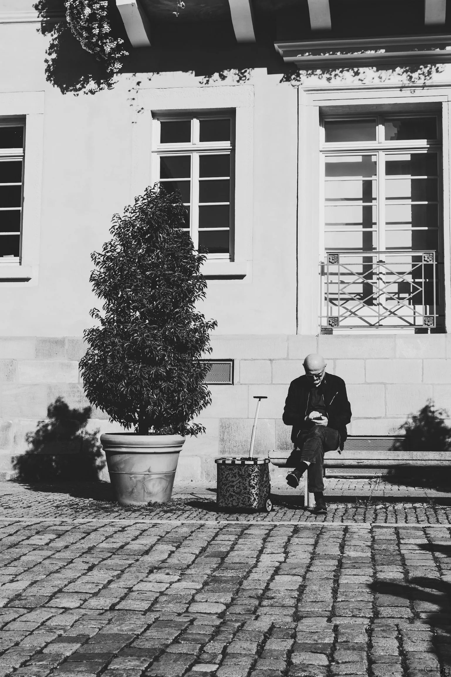 Black and white: a man sitting on a bench beside a clipped shrub on a cobbled square.