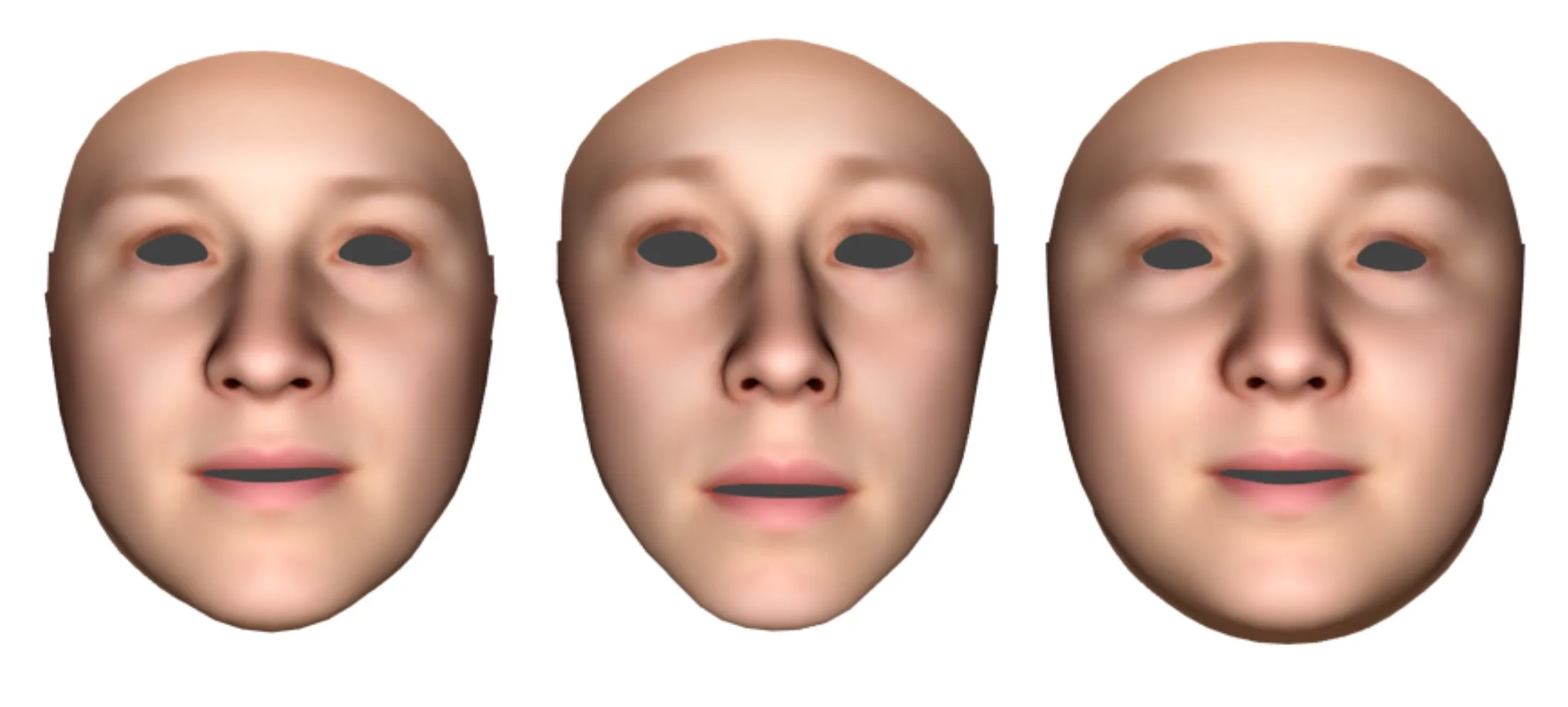 Illustration for: Symmetric or Not? A Holistic Approach to the Measurement of Fluctuating Asymmetry from Facial Photographs