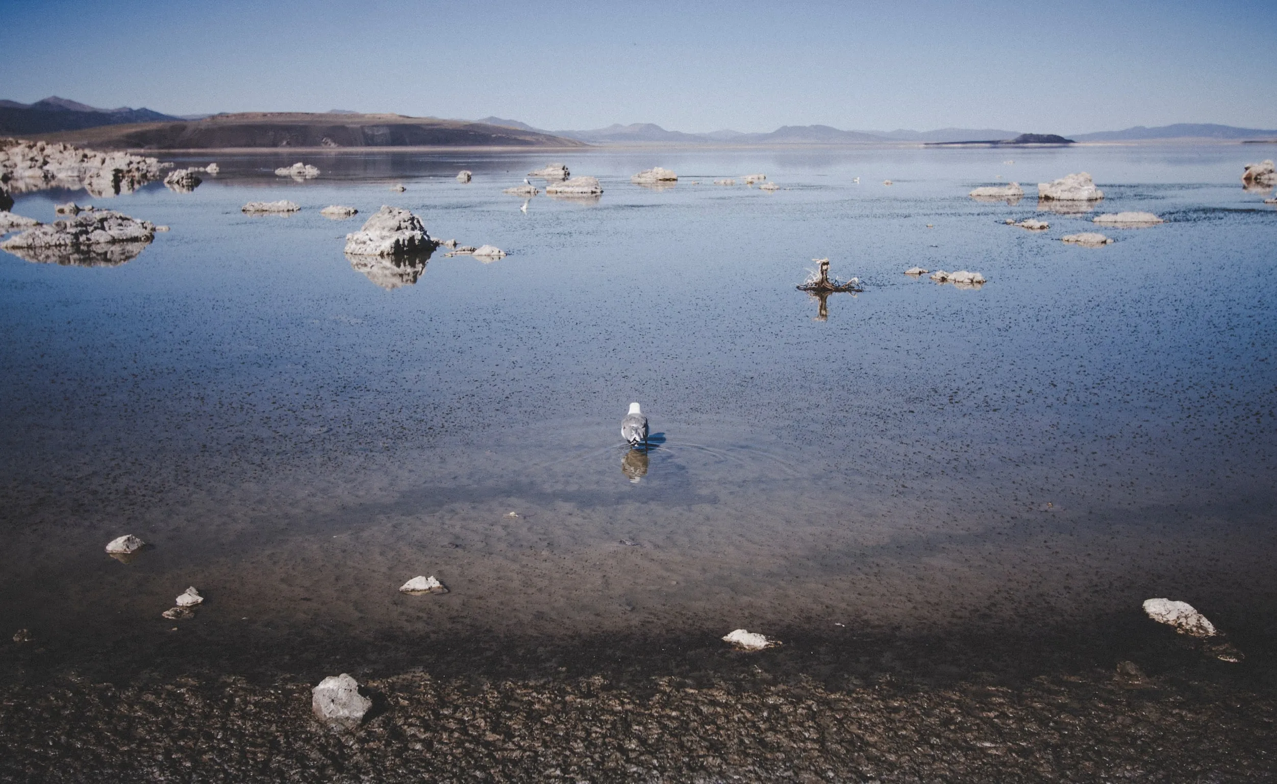 A shallow lake with rock formations breaking the surface and birds on the water.