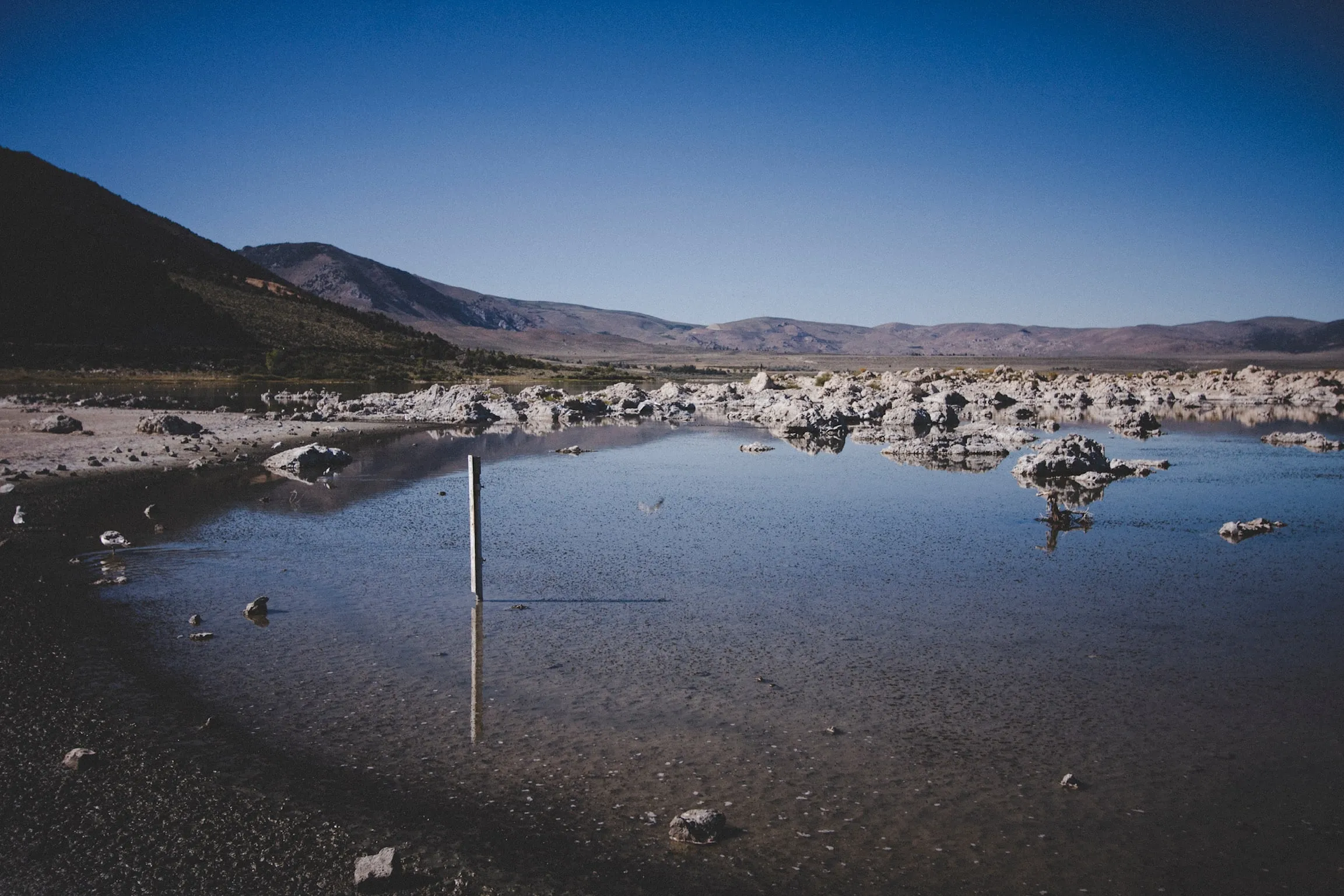 The same shallow lake seen wide, mountains along the far shore under a clear sky.