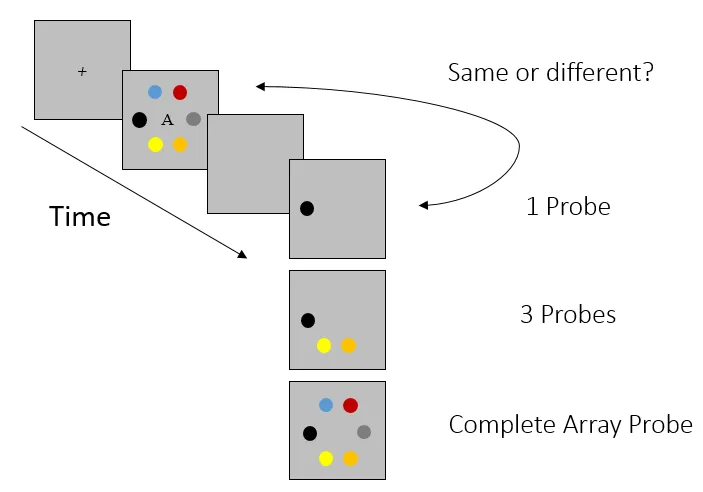 Illustration for: Is Long-Term Memory Used in a Visuo-Spatial Change-Detection Paradigm?
