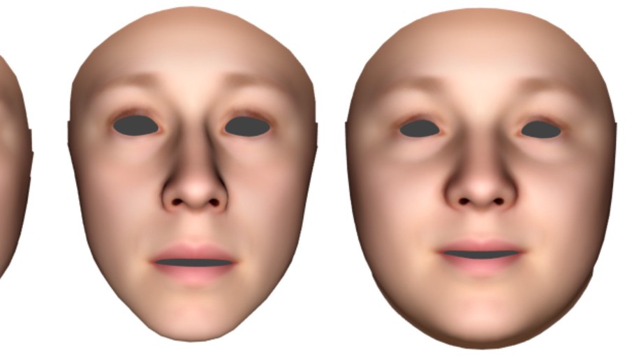 Symmetric or not? A holistic approach to the measurement of fluctuating asymmetry from facial photographs.
